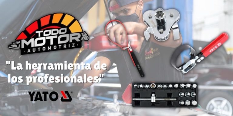 WhatsApp Image 2025-11-24 at 17.10.20 (1)